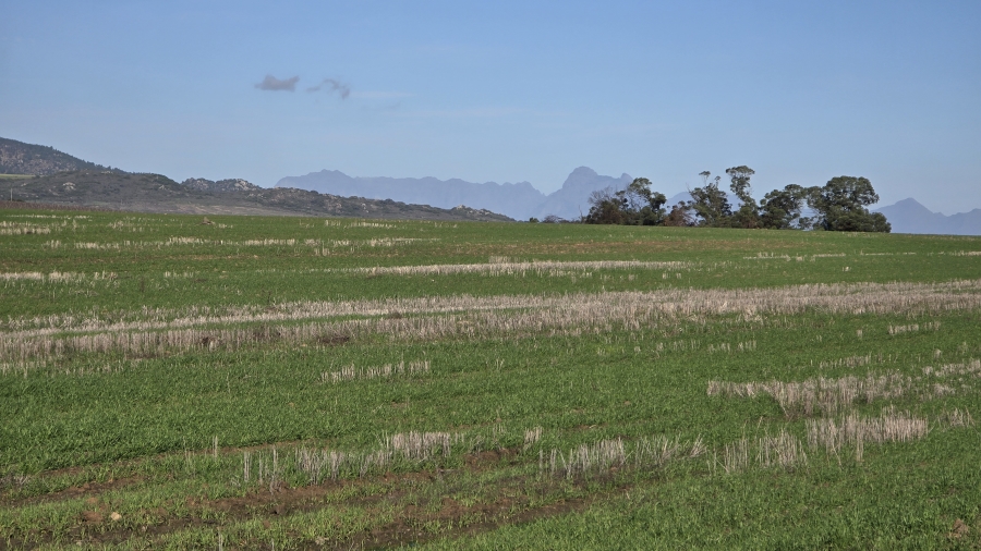 Commercial Property for Sale in Paarl Rural Western Cape